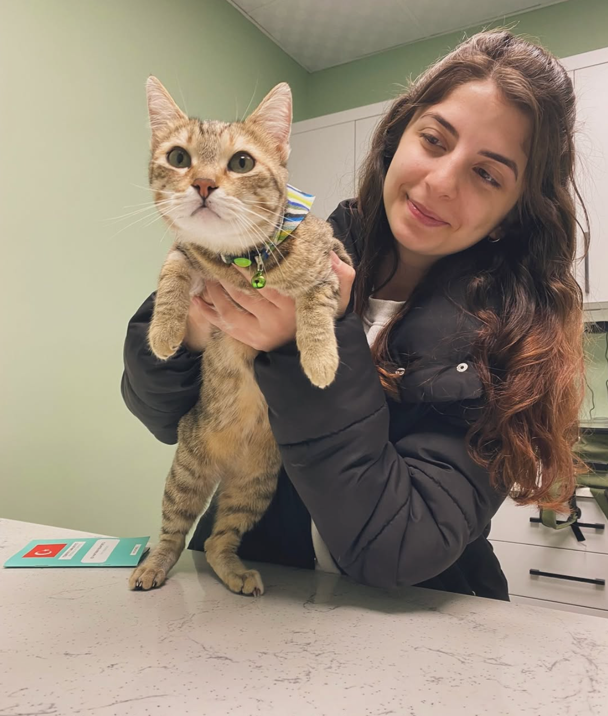 Kucakta huzurlu bir dost